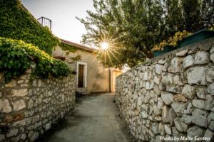 Tesla-Rally-0536 (1)